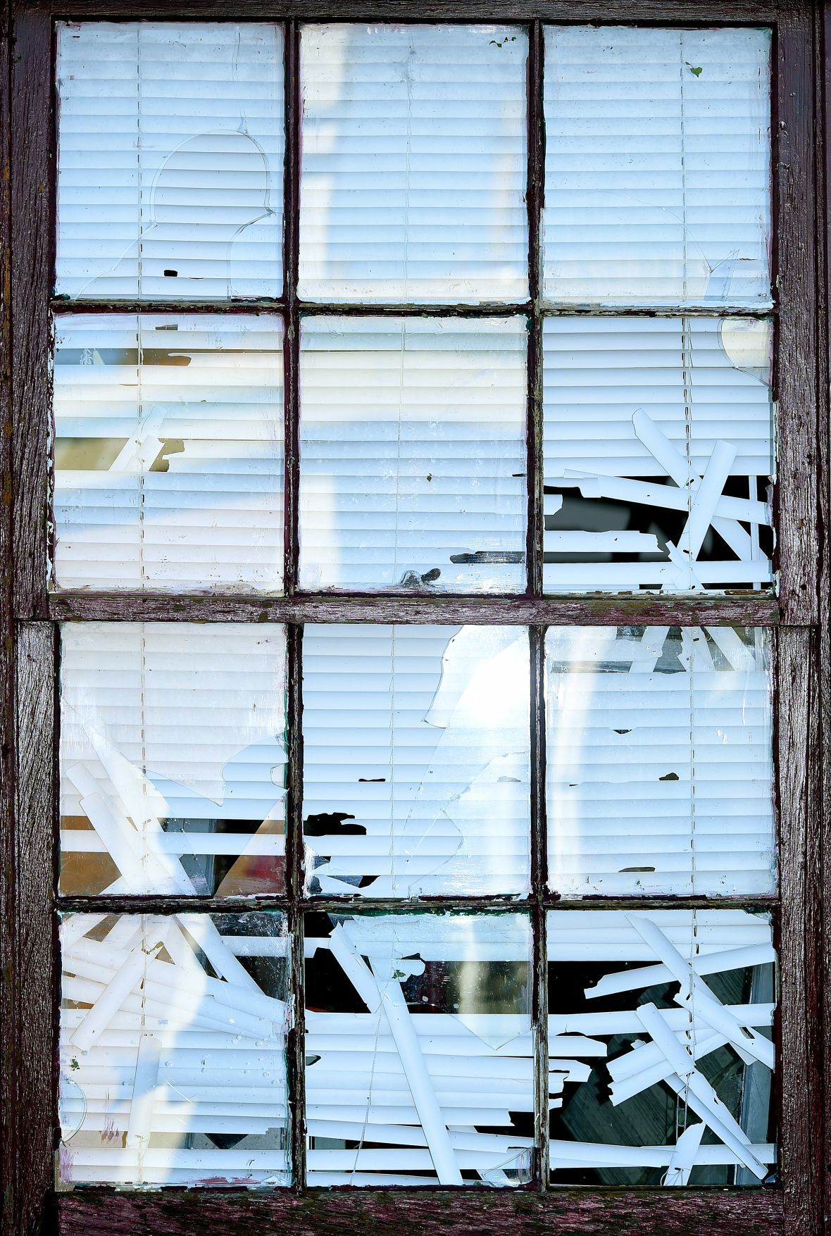 Storm aftermath